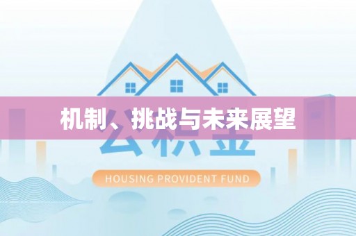 巴青机制、挑战与未来展望