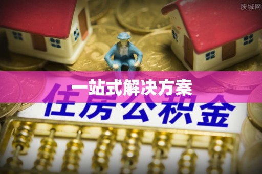 巴青一站式解决方案
