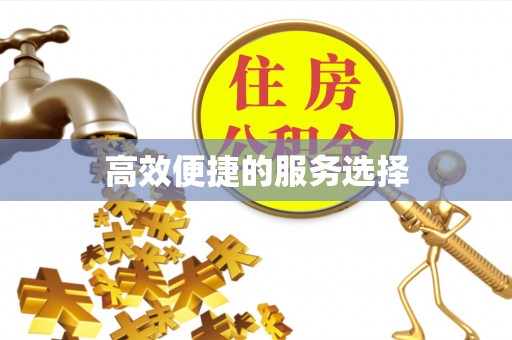 巴青高效便捷的服务选择