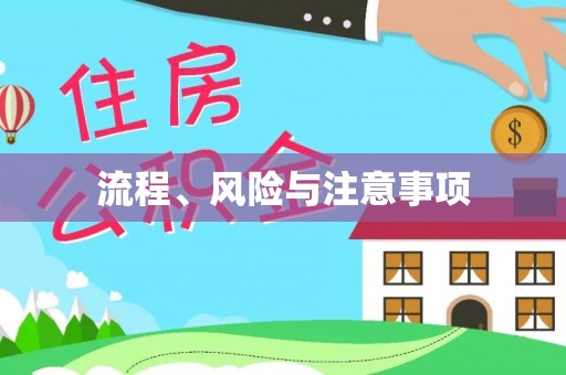 巴青流程、风险与注意事项