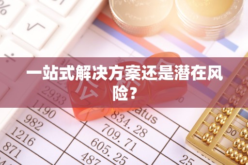 巴青一站式解决方案还是潜在风险？