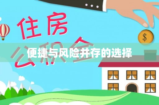 巴青便捷与风险并存的选择