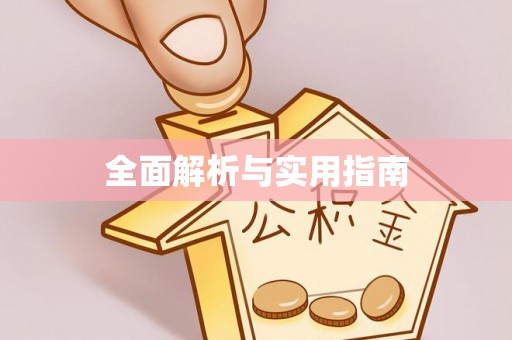 巴青全面解析与实用指南